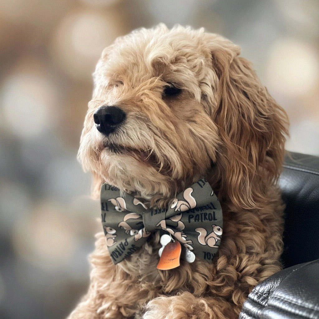 Pet Bow Ties