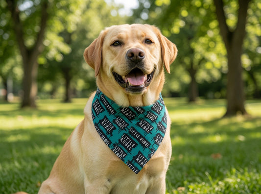 Little Rebel Over-the-Collar Bandana - Edgy Teal Rebel Vibes