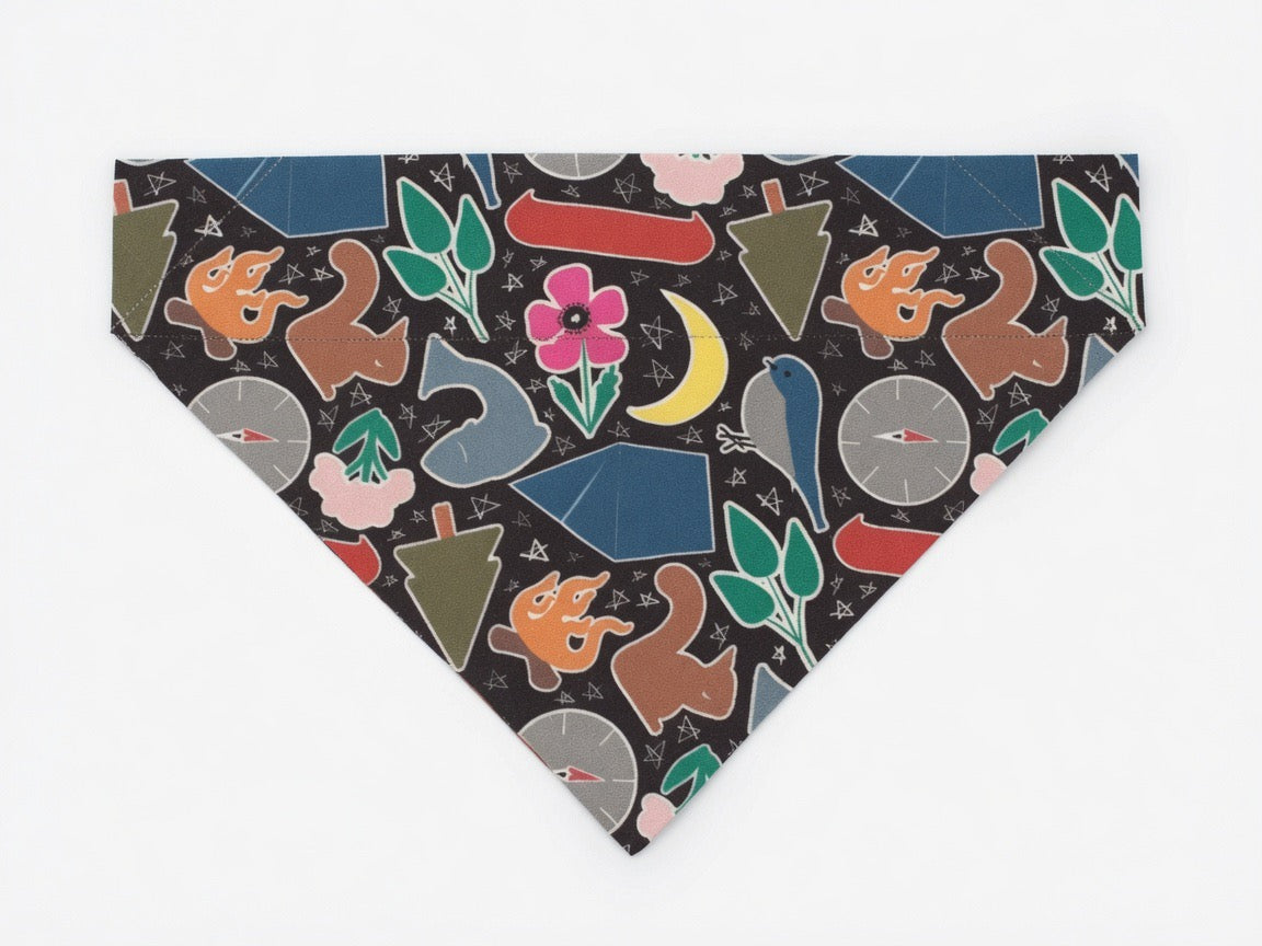 Trailblazer Over-the-Collar Bandana