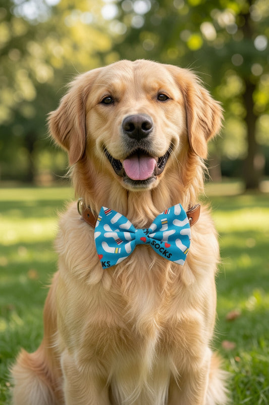I Love Socks Bow Tie