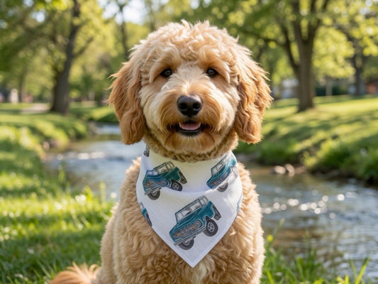 Vintage Bronco Truck Over-the-Collar Bandana