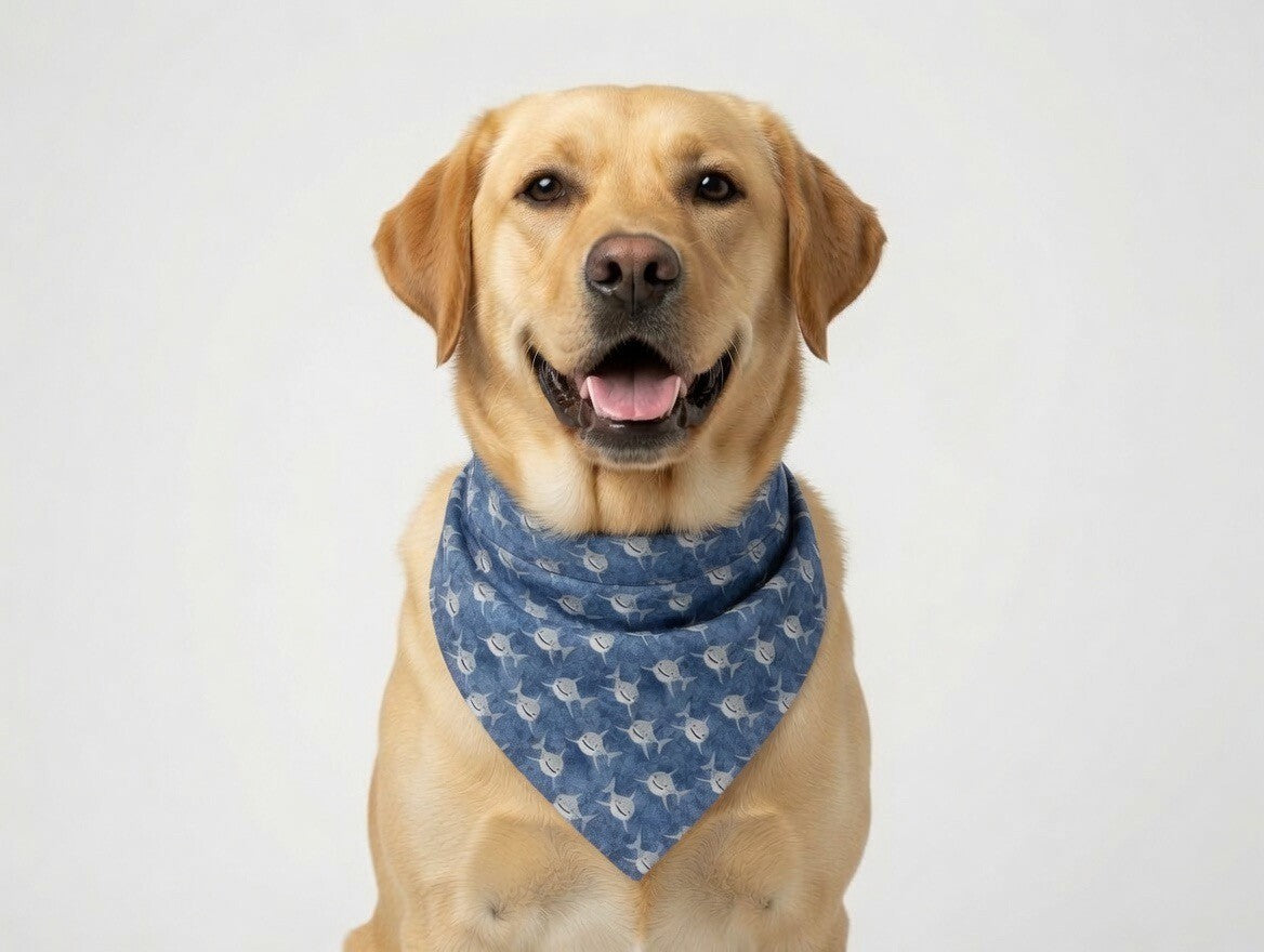 Yellow lab with blue shark pattern over-the-collar bandana with durable  pocket for cats and dogs - handmade by Pawsitive Vibration Creations 