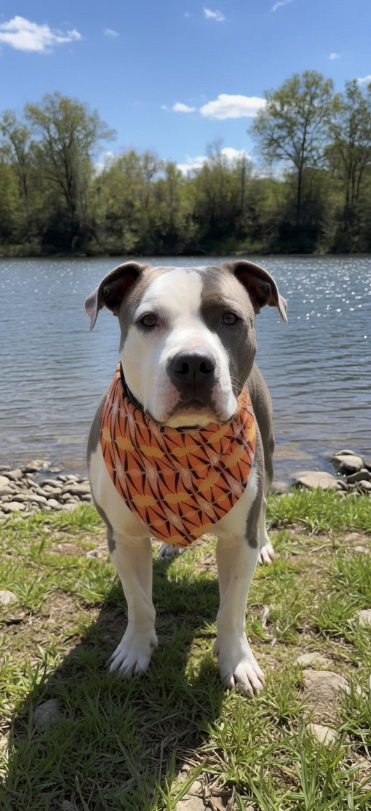 Vibrant Starburst Over-the-Collar Bandana